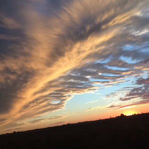 Meet your Posher, Maxwell